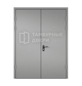 Дверь тамбурная в подъезд ТД-281